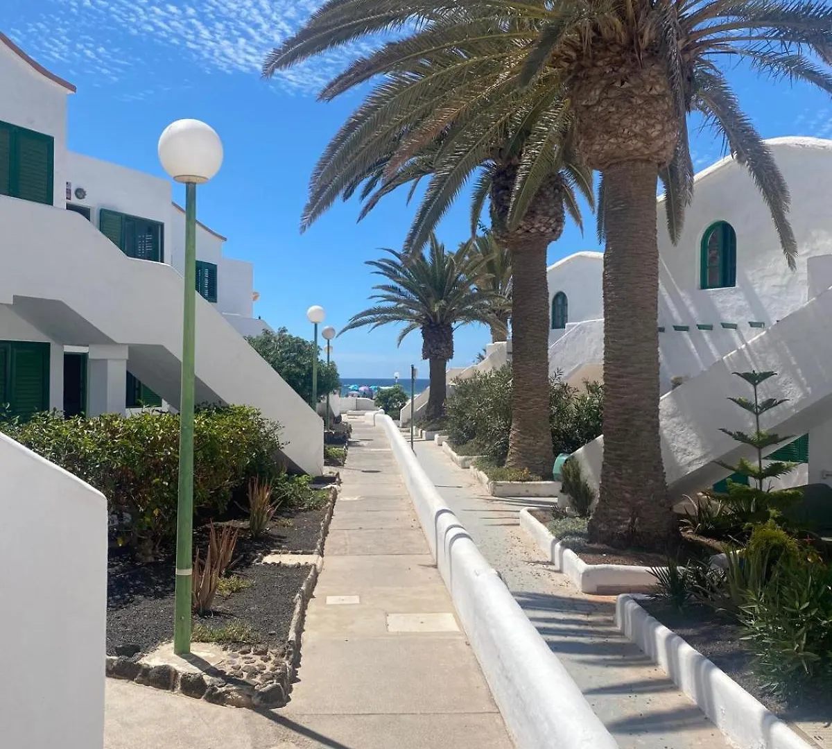 Cotillo Daire